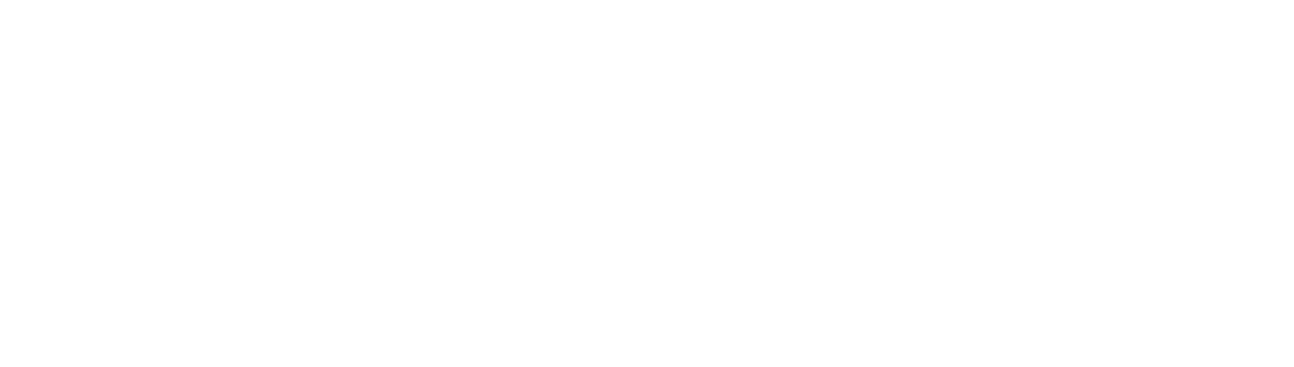 Uni Ulm Logo